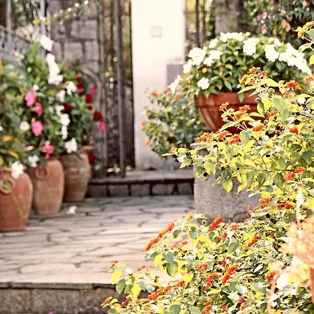 Oda ve Kahvaltı Cavalluccio Marino Anacapri (Isola di Capri)