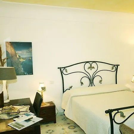 Cavalluccio Marino Anacapri (Isola di Capri)