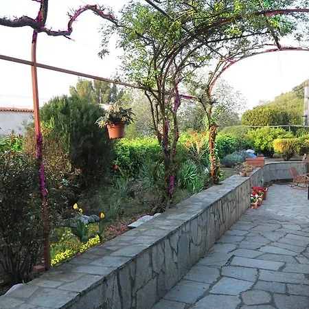 Cavalluccio Marino 3*