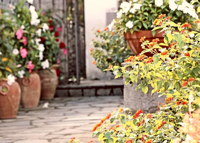 Cavalluccio Marino Bed and breakfast